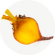 Inulin® Prebiotic Fiber