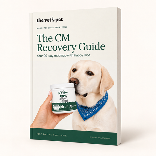 The Guide to CCL Recovery & Joint Health