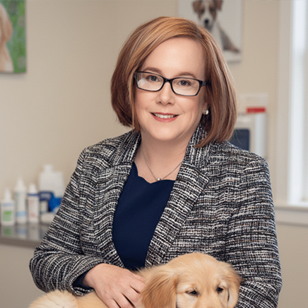  Dr. Casey L Bradley