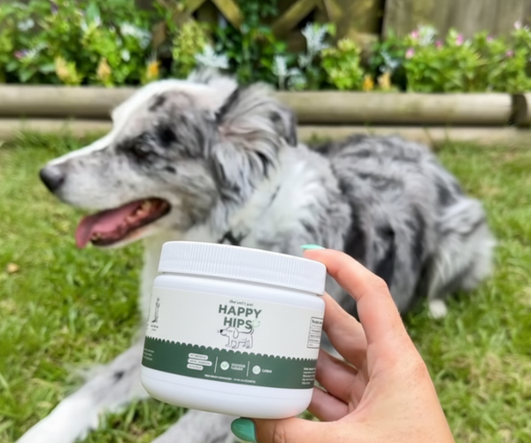 aussieadventurewalter