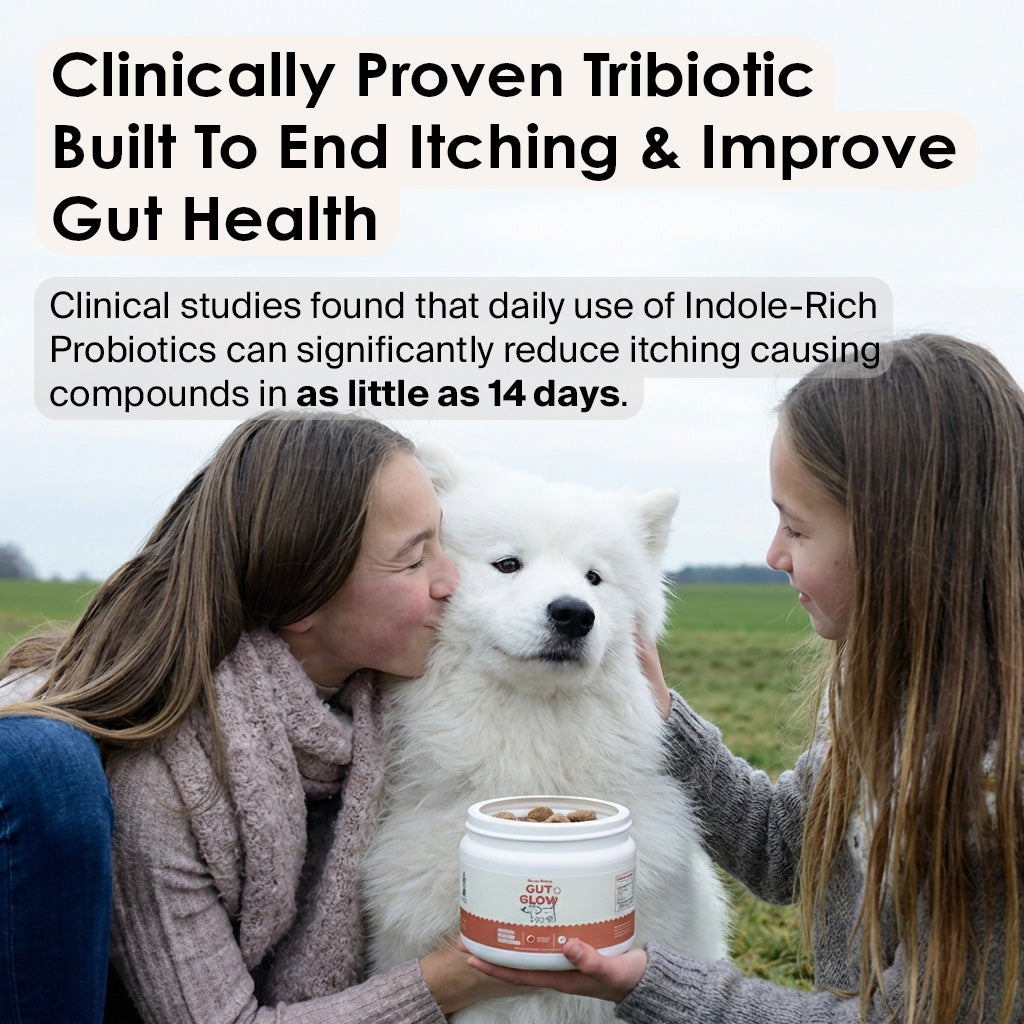 Gut Glow