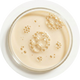 Vet-Reviewed Probiotic Blend+ (Multi-Strain)