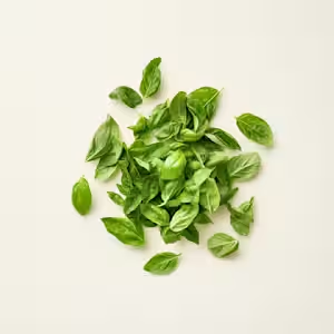 MSM (OptiMSM® Complex)